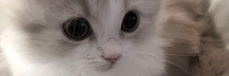 chuna340's profile banner image