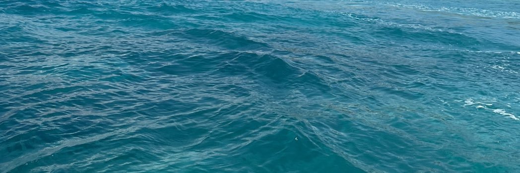 やしろなな banner