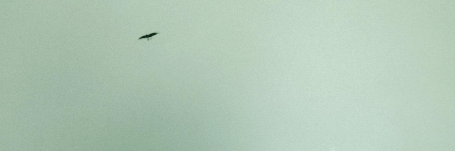 Doug Paul Case banner