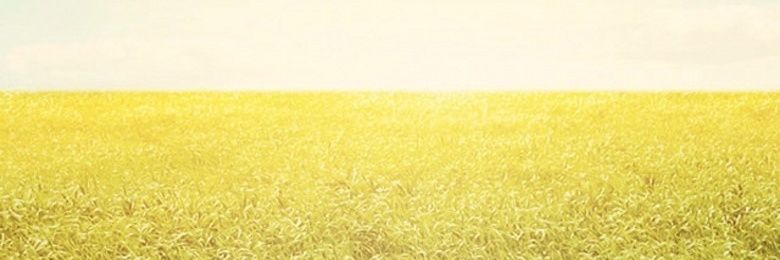 lNaMaril's profile banner image