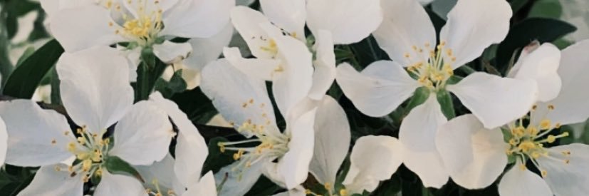 rrravenaa_'s profile banner image