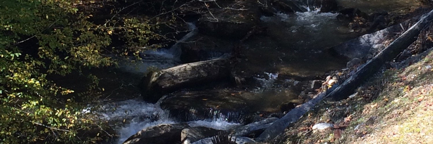 doeadeer808's profile banner image