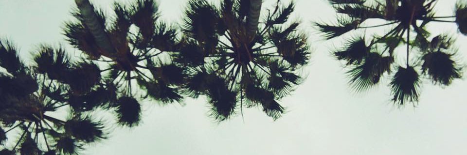 _brosan's profile banner image
