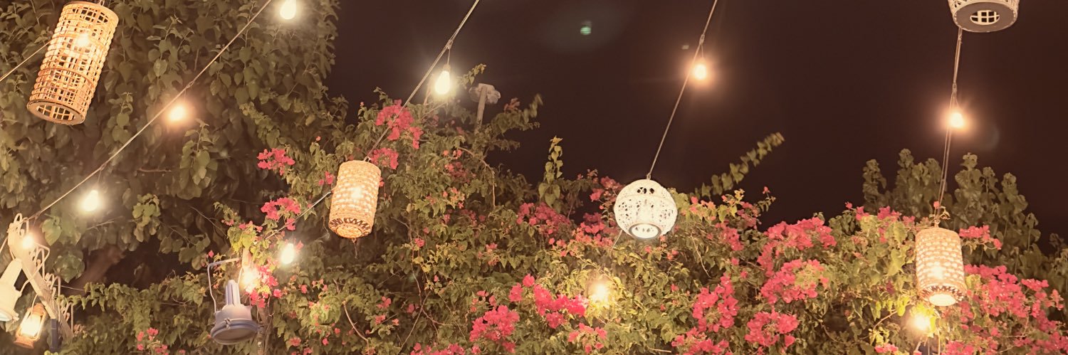 aariicaan's profile banner image