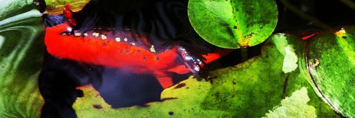 0utputt's profile banner image