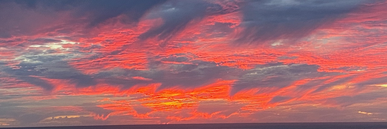 John Scott Lewinski, MFA banner