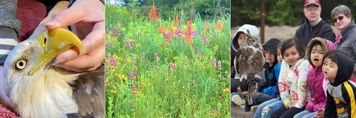 Blackland Prairie Raptor Center banner