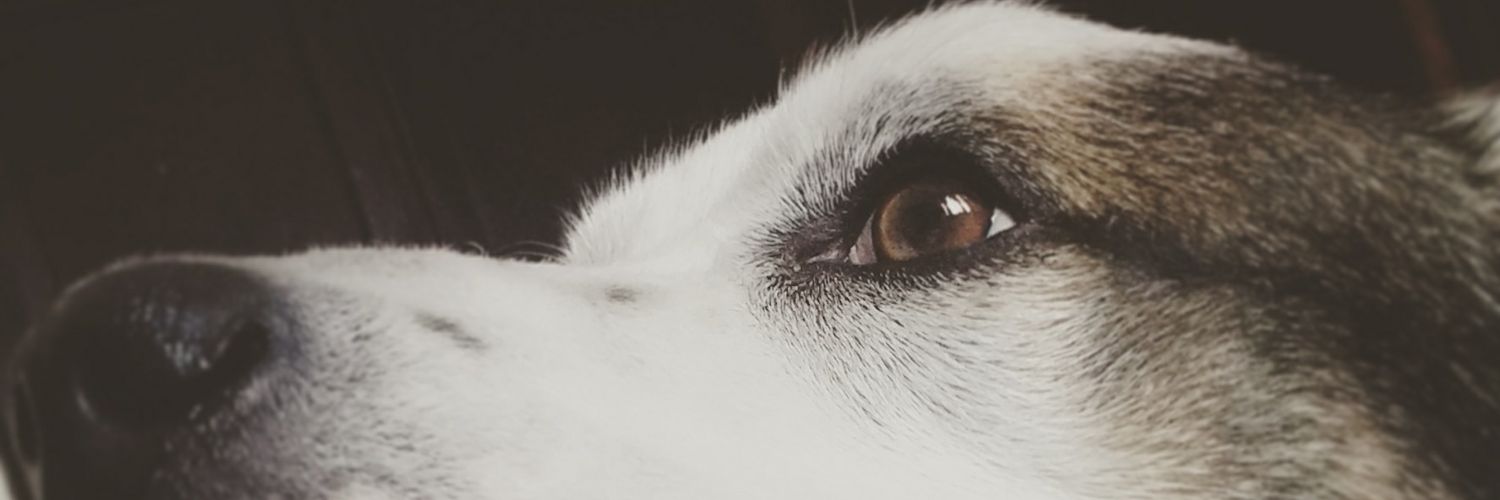 Troubles_ORon's profile banner image
