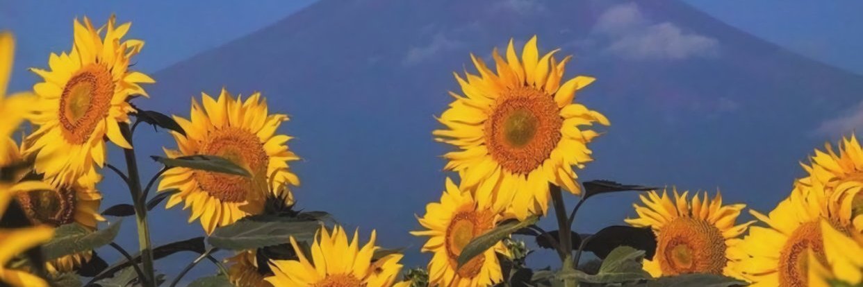 workinfornoth's profile banner image