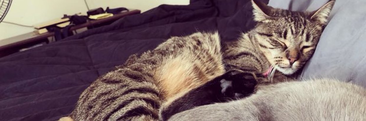 aitzfranklin.bsky.social banner