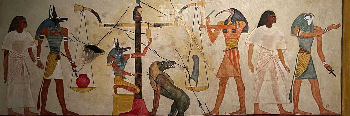 mjdyibrahim's profile banner image