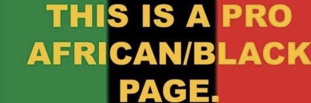 battlelion 55 banner