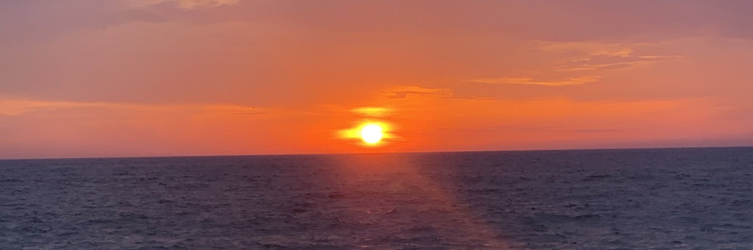Solène🤎 banner