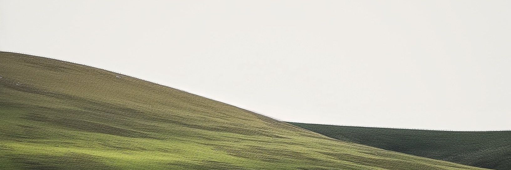itsthedinotho's profile banner image