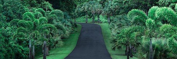 Boyzin90 Profile Banner