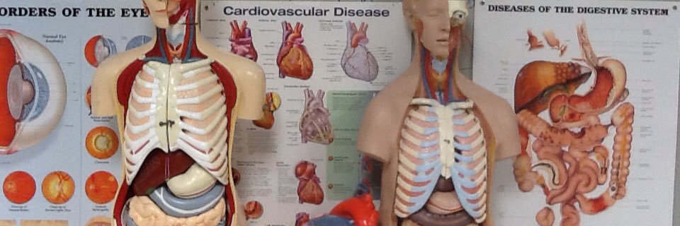 lhshealthtech's profile banner image