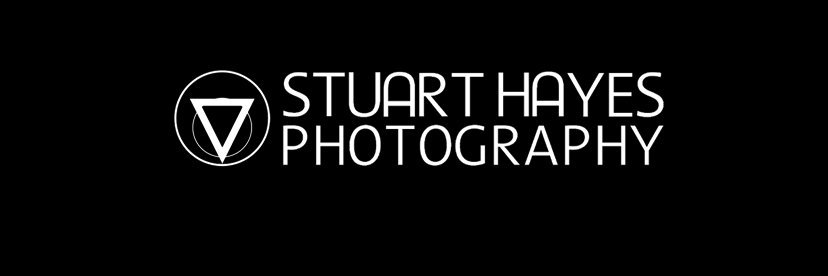 Stuart Hayes banner