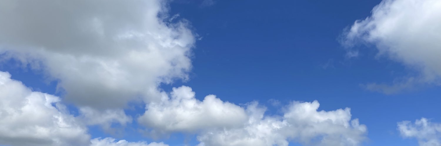 zaddyzeitgeist banner