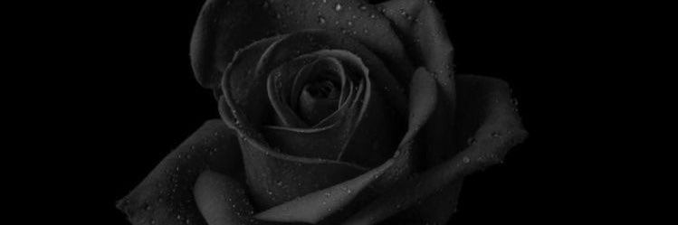 cristy_pb's profile banner image