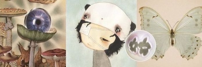 zaalzi's profile banner image