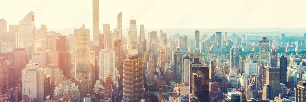 CannDelta - Cannabis Regulatory & Licensing banner