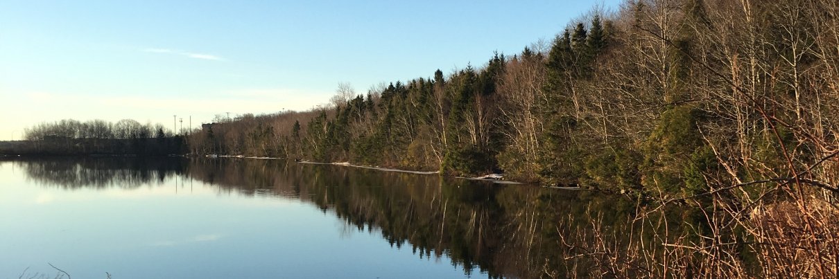 Roan (He/They) banner