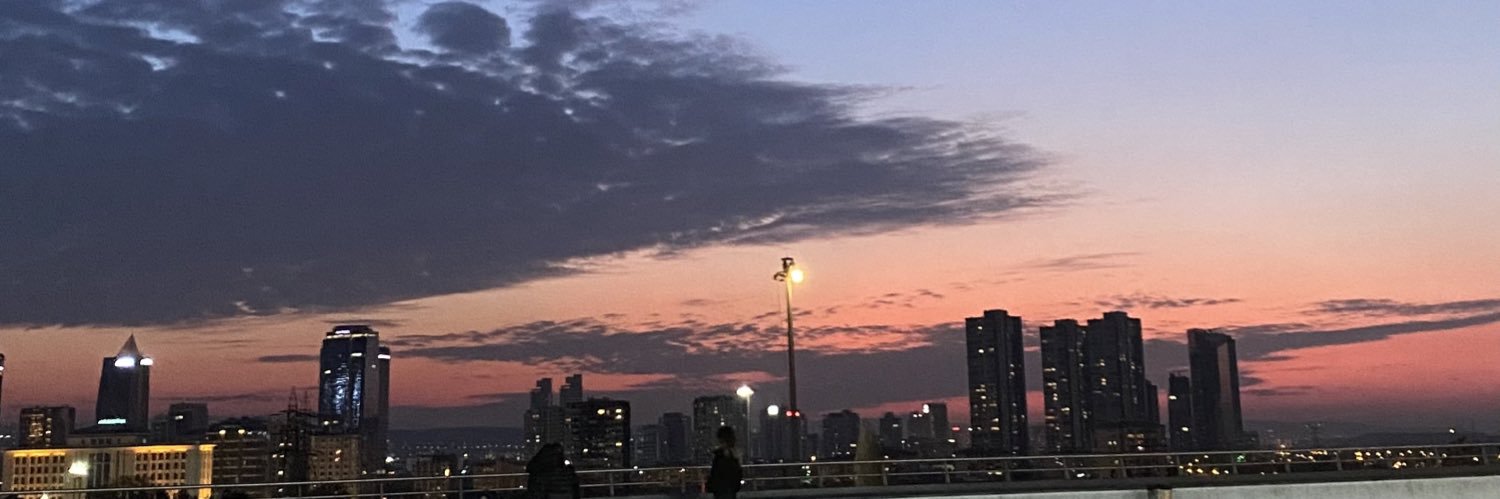 ftmnrrrblt's profile banner image