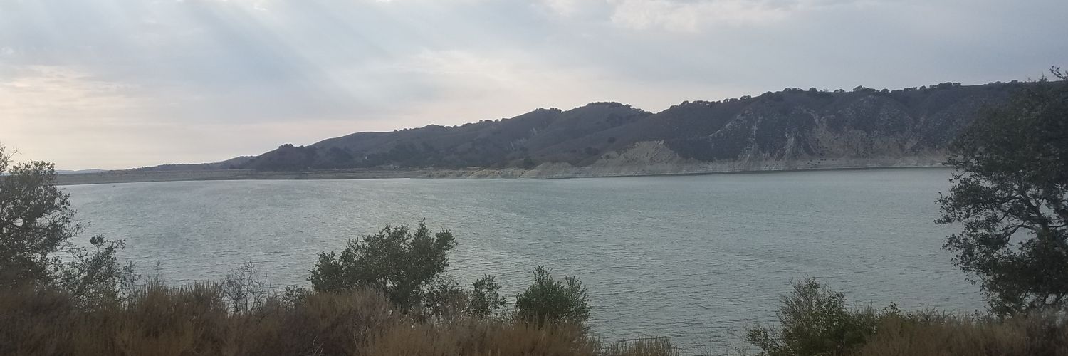 dragoninthewest's profile banner image