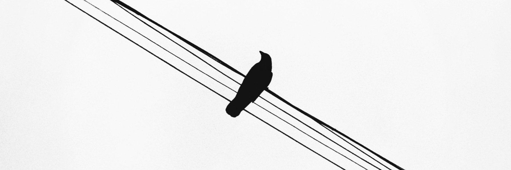 Twitter banner for @butchered