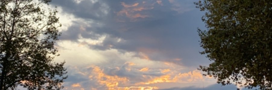 syrinee2's profile banner image