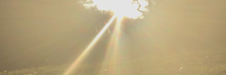 sayernsenter's profile banner image