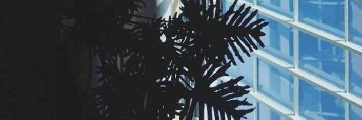 ems_thicket's profile banner image