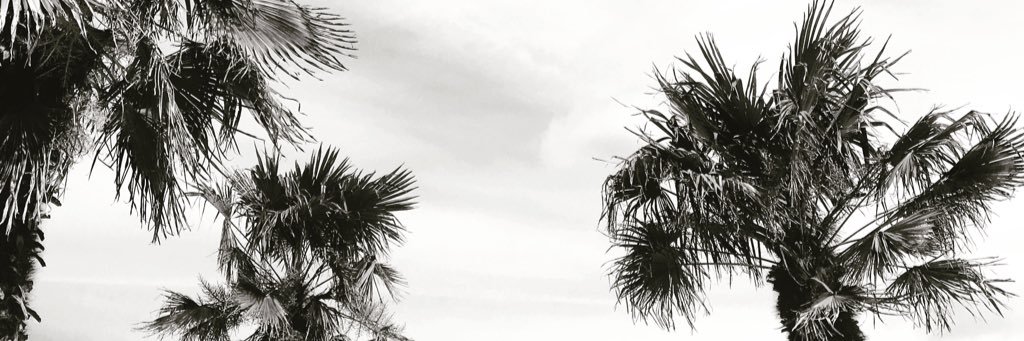 DeJohnnyy's profile banner image