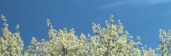 azreenmn's profile banner image