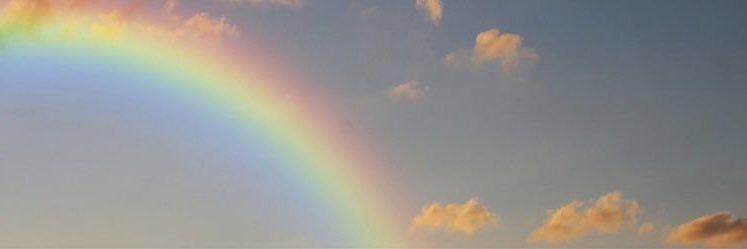 رَواء banner