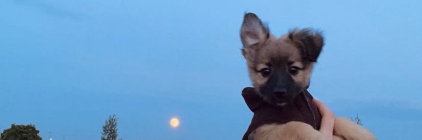 Emma Kyne banner