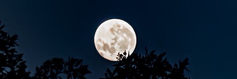 vale jeans 🤠 banner