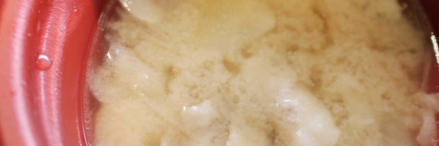 yukitaron's profile banner image