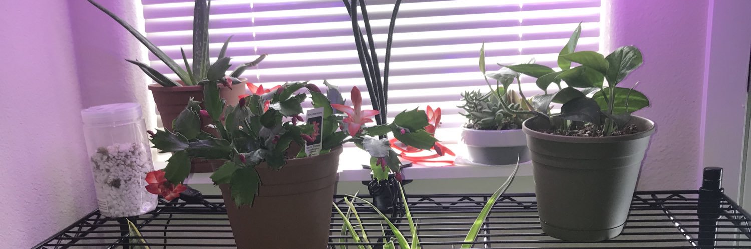 MaddyMowdy's profile banner image