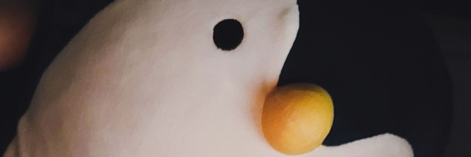 Barcarima's profile banner image