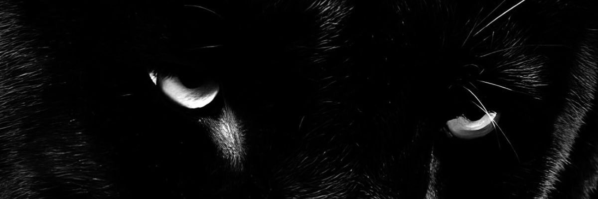 𐙚 banner