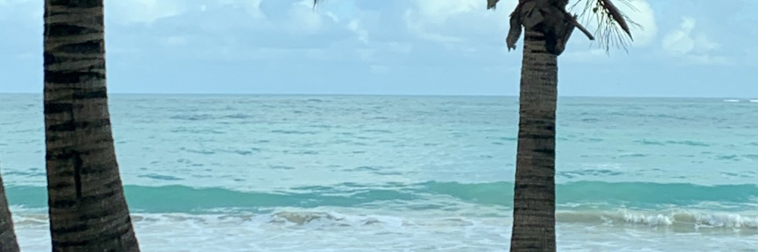LisaliveLisa's profile banner image