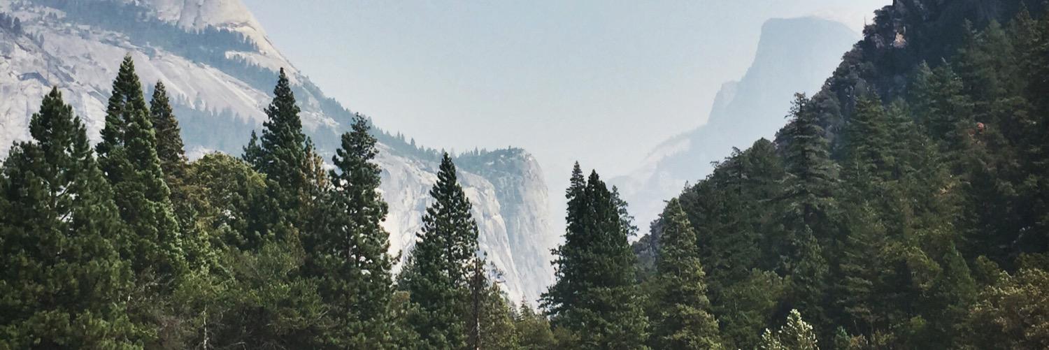 AnnaMarJohn's profile banner image