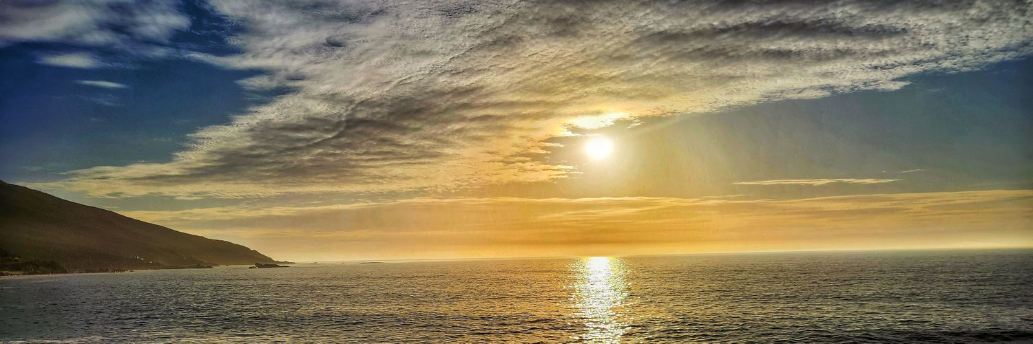 ᴛʀᴇᴀsᴜʀᴇ T!VO banner