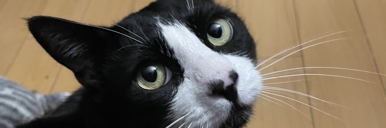 Zuleta banner