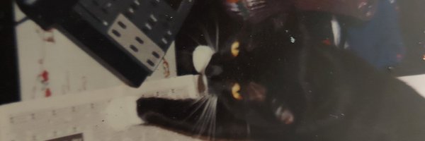 Axel's animals Profile Banner
