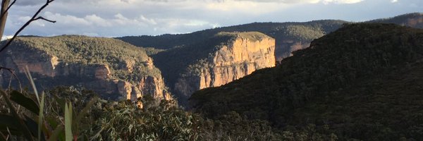 DorritJacob Profile Banner