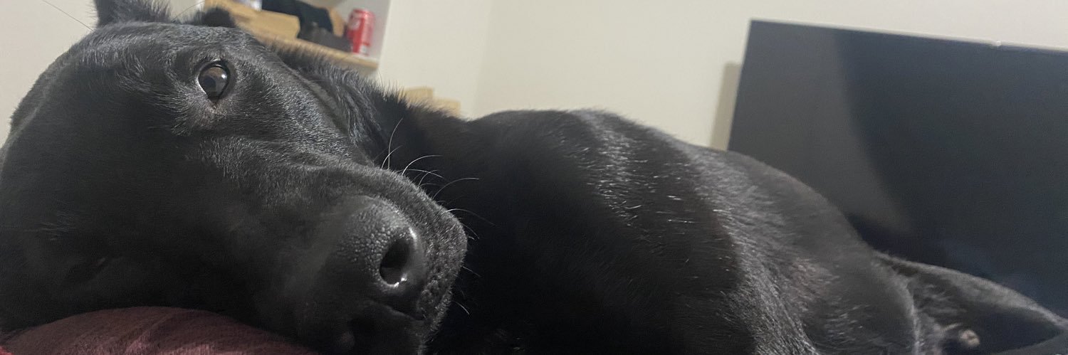 haley_harmon22's profile banner image