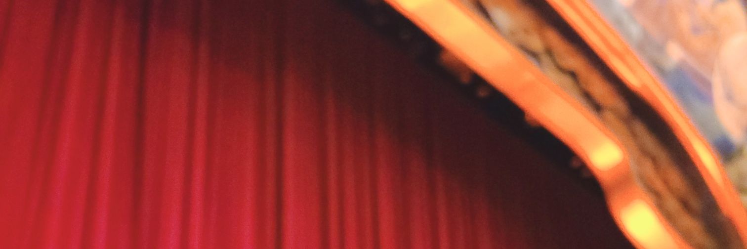 もふりん banner