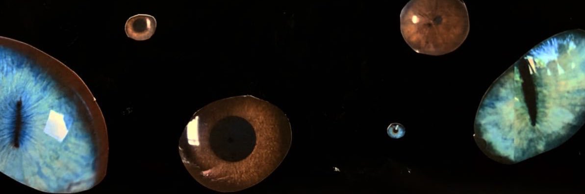 jenxva's profile banner image